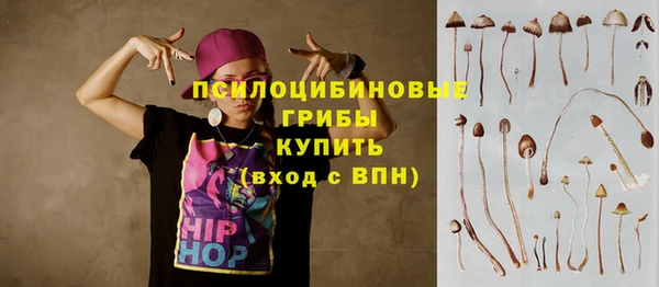 мяу мяу мука Алексин